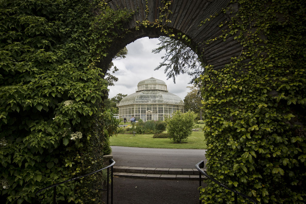 National Botanic Gardens, Echt Ierland
