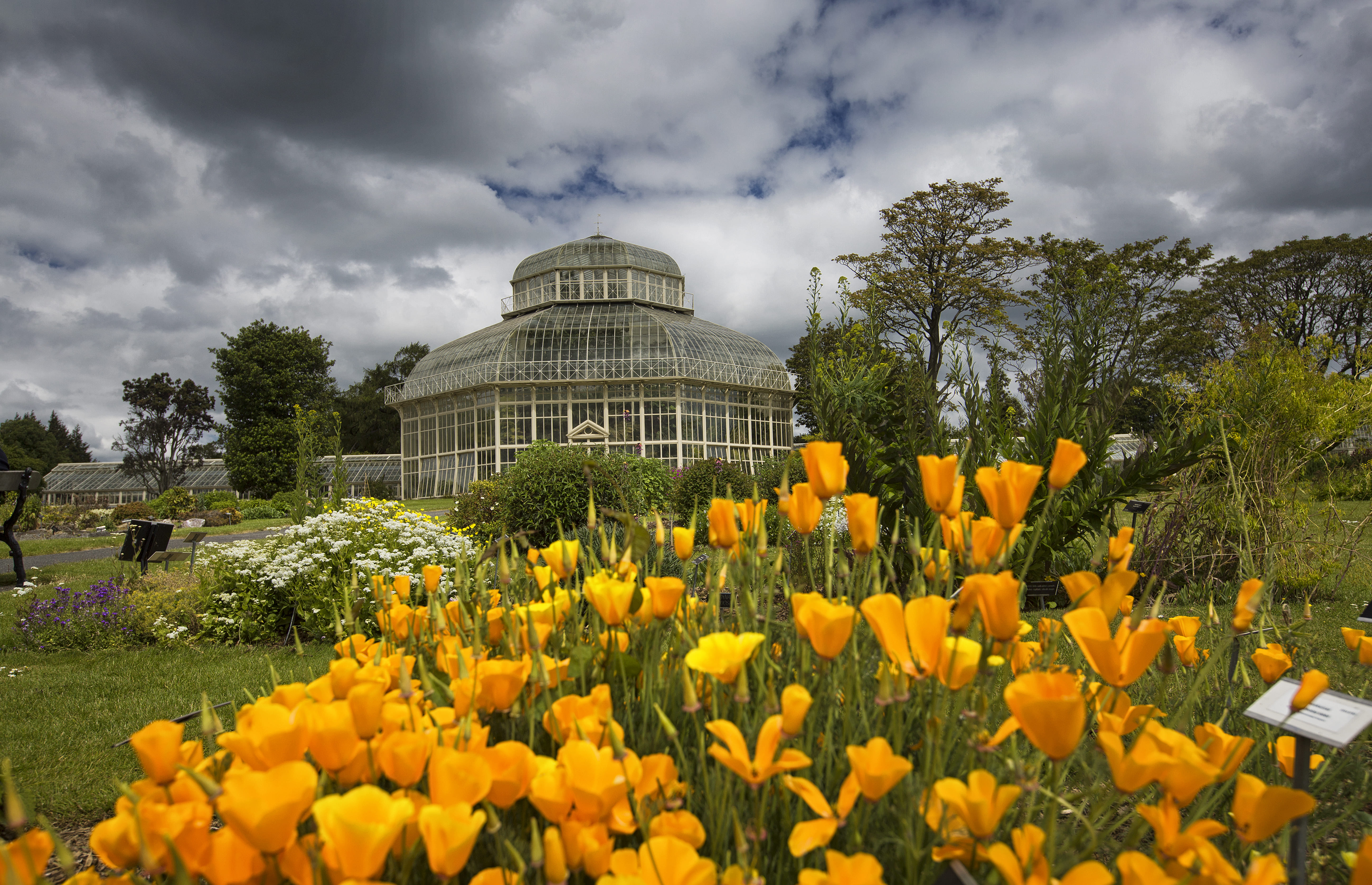 National Botanic Gardens, Dublin, Irland