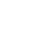 ANVR logo, Echt Irland