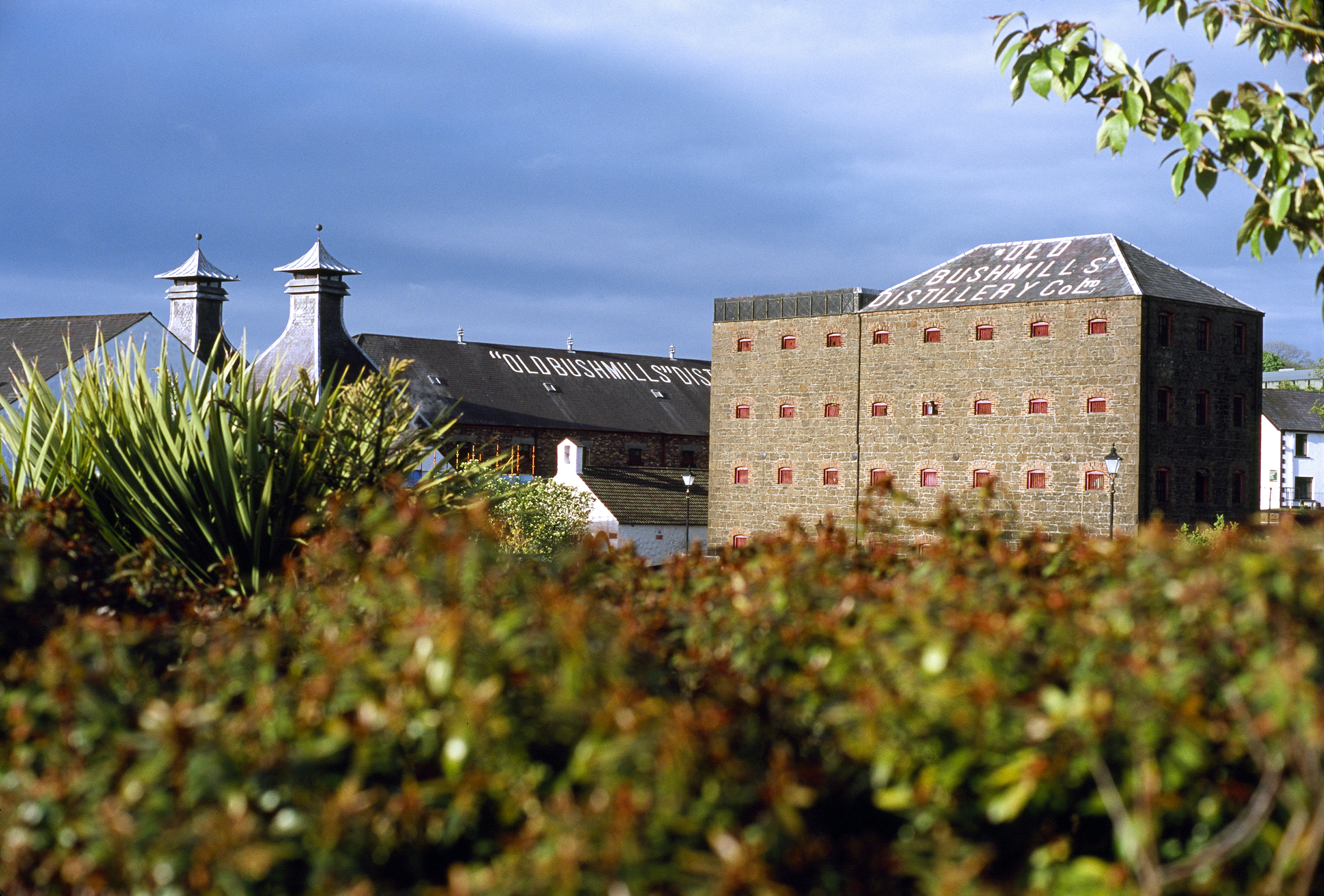 The Old Bushmills Distillery, Nordirland