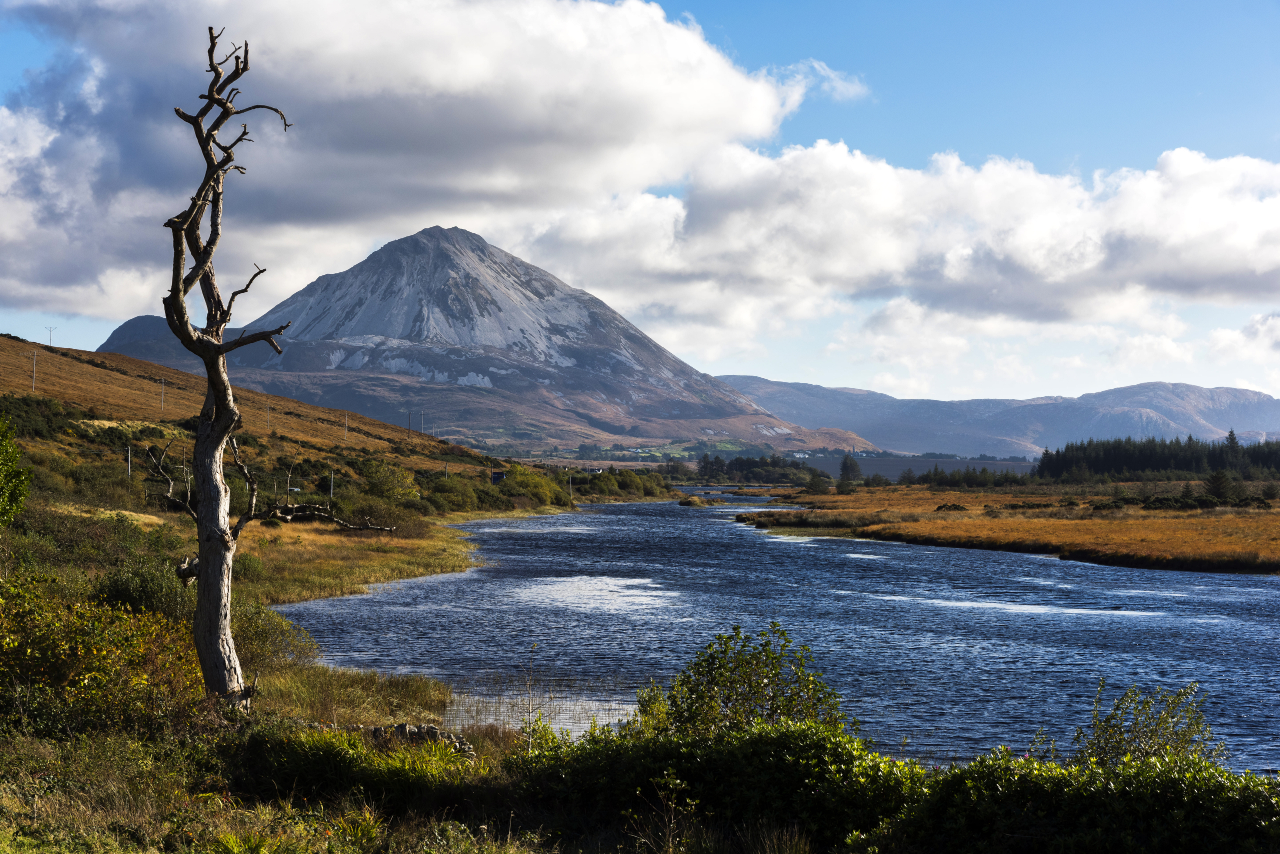 Een sereen landschap dat doet denken aan een idyllische rondreis Ierland, met een kalme rivier die door grasachtig terrein kronkelt. Een bladloze boom staat op de voorgrond aan de oever van de rivier. In de verte rijst een berg prominent op onder een gedeeltelijk bewolkte lucht, met zonlicht dat de natuurlijke kleuren verlicht. | Echt Ierland Vakanties