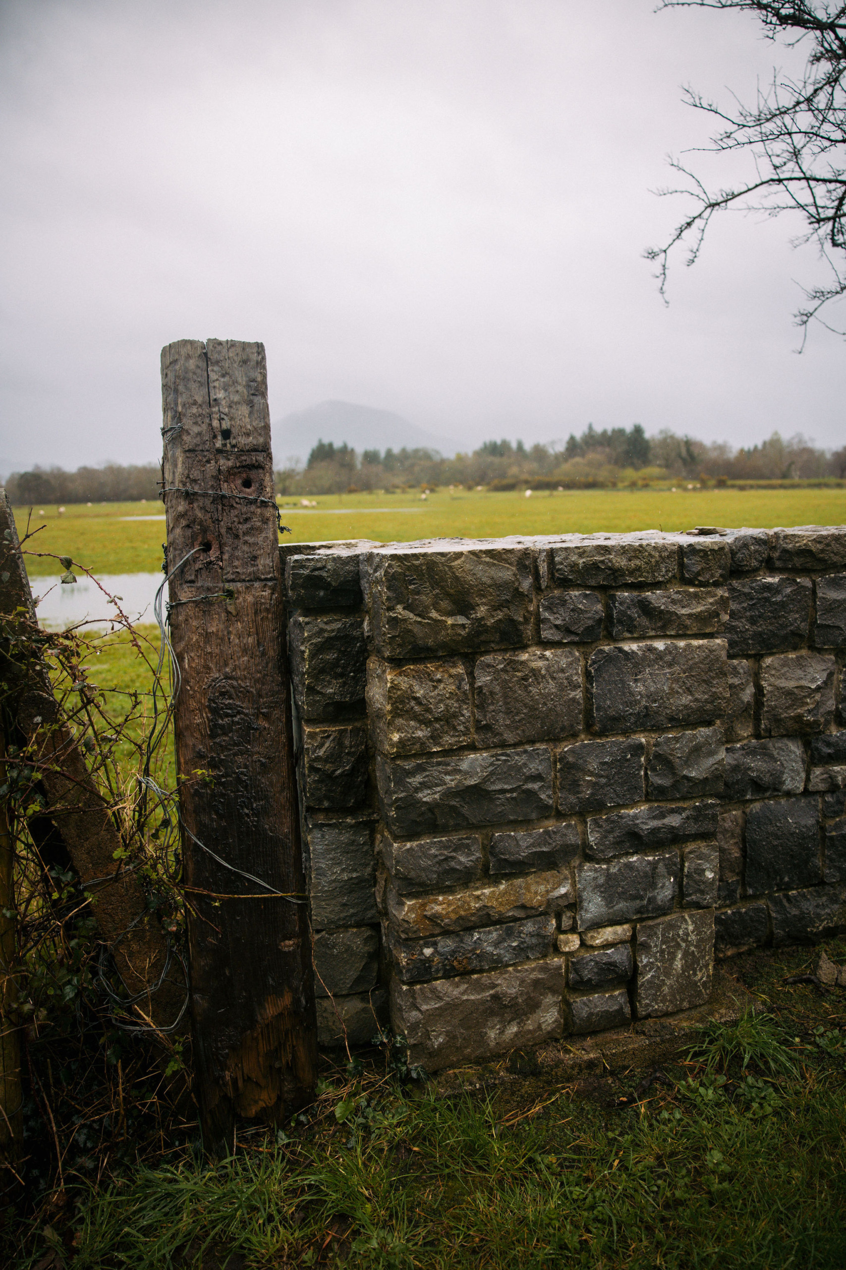 Een verweerde houten paal is verbonden met een stenen muur op de voorgrond, en legt de rustieke charme van een vakantie in Ierland vast. De achtergrond toont een groen veld met bomen en een wazige, met wolken bedekte berg onder een bewolkte lucht, terwijl een bladloze tak de rechterbovenhoek omlijst. | Echt Ierland Vakanties
