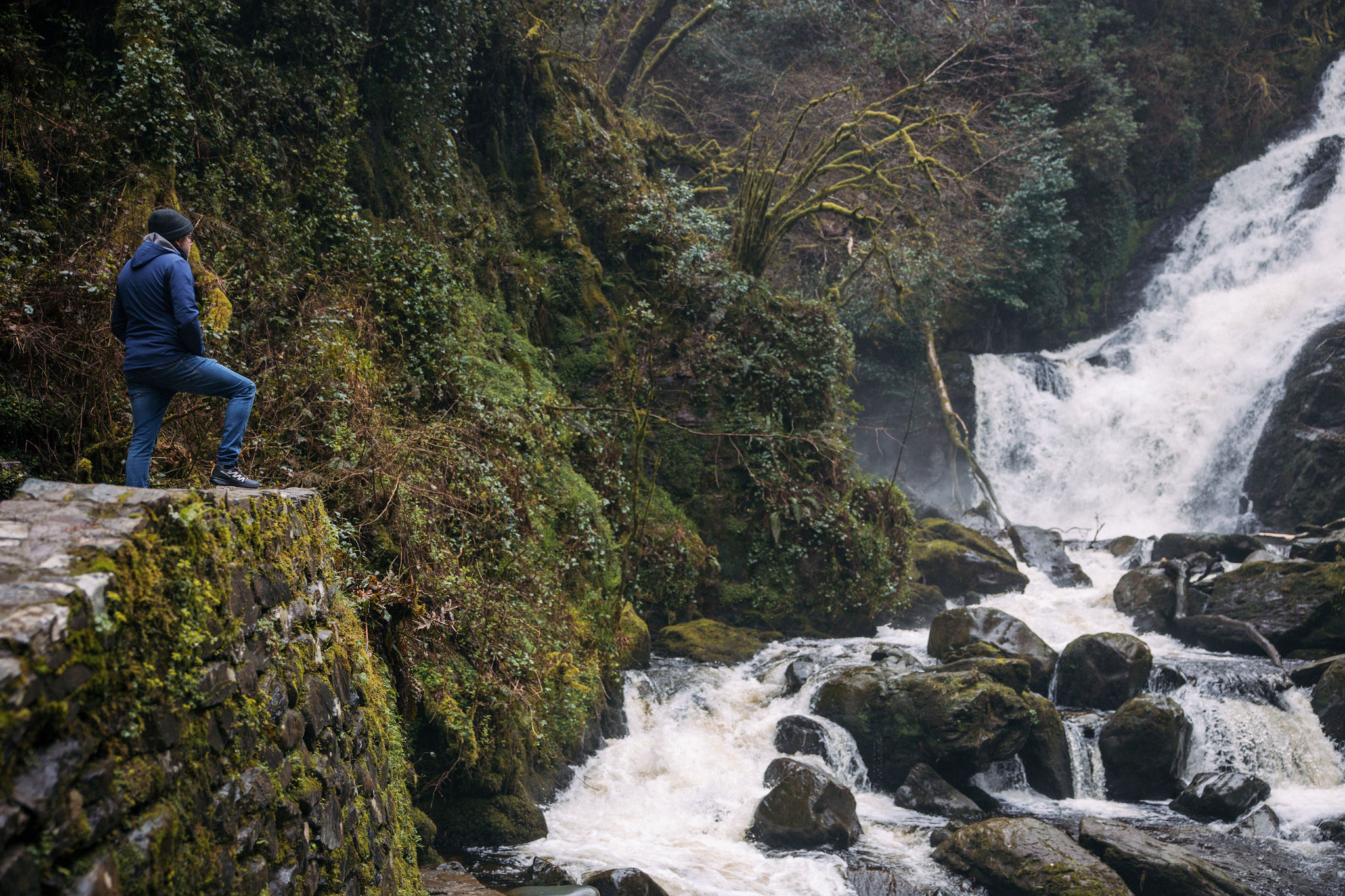 Een persoon in een blauw jasje staat op een met mos bedekte stenen muur en geniet van het uitzicht op een waterval tijdens hun rondreis Ierland. Ze staan links met één been gebogen en nemen het weelderige groen en de mistige atmosfeer van deze betoverende bosomgeving in zich op. | Echt Ierland Vakanties