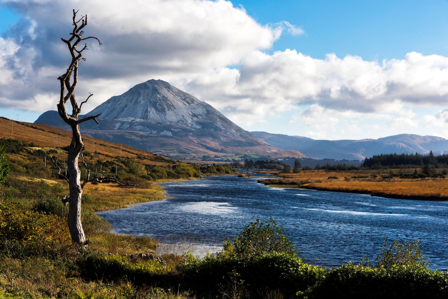 Een sereen landschap dat doet denken aan een rondreis Ierland, met een kronkelende rivier omzoomd door weelderige vegetatie op een zonnige dag. Een hoge, kale boom staat prominent links. Op de achtergrond domineert een grote, ruige berg onder een gedeeltelijk bewolkte lucht het tafereel. Het gras langs de oevers van de rivier is goudbruin, wat doet denken aan de herfst. | Echt Ierland Vakanties