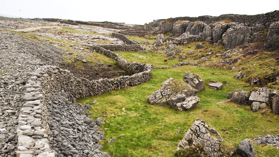 Rotsachtig landschap met eeuwenoude stenen muren op een grasachtig, oneffen terrein begroet u op deze schilderachtige plek, perfect voor een rondreis Ierland. Grote rotsen leiden naar ruige kliffen tegen grijze luchten, die een sfeervolle ambiance werpen over paden en scheidingen in het landschap - een waar hoogtepunt van elke vakantie Ierland. | Echt Ierland Vakanties
