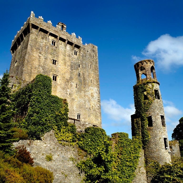 Een stenen kasteel met een hoge, rechthoekige toren bedekt met klimop onder een helderblauwe lucht - een perfect hoogtepunt van een vakantie in Ierland. Rechts een kleinere, cilindrische toren met gebogen openingen. Omringd door groen en bomen werpt zonlicht betoverende schaduwen op de eeuwenoude muren. | Echt Ierland Vakanties