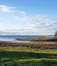 Ontdek het serene kustlandschap van een rondreis Ierland, met een grasachtige voorgrond, rotsachtige kustlijn en kalme zee onder een blauwe lucht. Ver land siert de horizon terwijl zonlicht zachte schaduwen werpt, waardoor de weelderige groene en aardse tinten van dit betoverende tafereel worden benadrukt. | Echt Ierland Vakanties