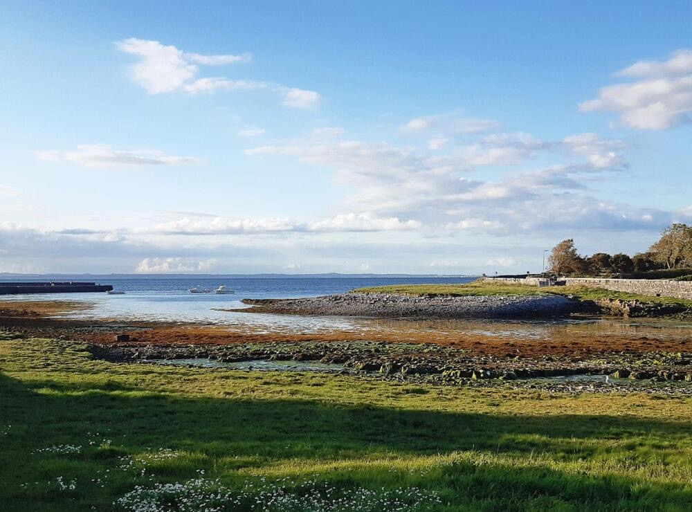 Ontdek het serene kustlandschap van een rondreis Ierland, met een grasachtige voorgrond, rotsachtige kustlijn en kalme zee onder een blauwe lucht. Ver land siert de horizon terwijl zonlicht zachte schaduwen werpt, waardoor de weelderige groene en aardse tinten van dit betoverende tafereel worden benadrukt. | Echt Ierland Vakanties