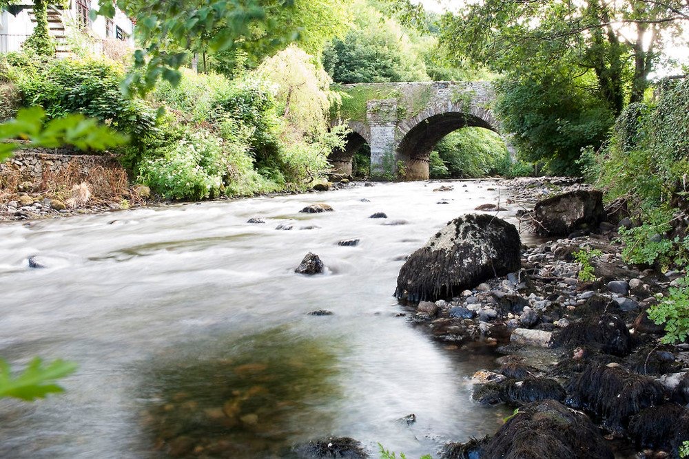 Een serene stroom stroomt onder een stenen brug, omringd door weelderig groen op deze ideale plek voor een rondreis Ierland. Het water, met overal gladde rotsen, lijkt kalm en reflecterend. Zonlicht filtert door de bomen, werpt gevlekte schaduwen en versterkt het levendige groen van het gebladerte. | Echt Ierland Vakanties