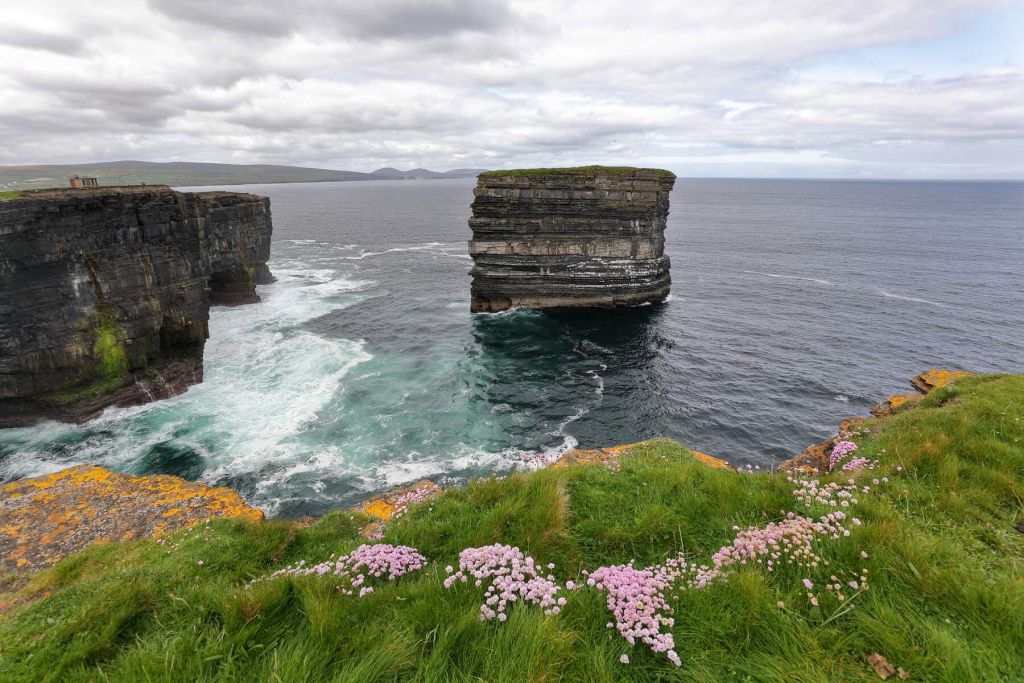 Kliffen met uitzicht op een uitgestrekte oceaan met een prominente zeestapel die uit het water oprijst, tonen de ruige schoonheid van een vakantie in Ierland. De kliffen zijn gelaagd met rotsen en groene plekken, terwijl roze wilde bloemen de grasachtige voorgrond bedekken onder een bewolkte lucht met verspreide wolken. | Echt Ierland Vakanties