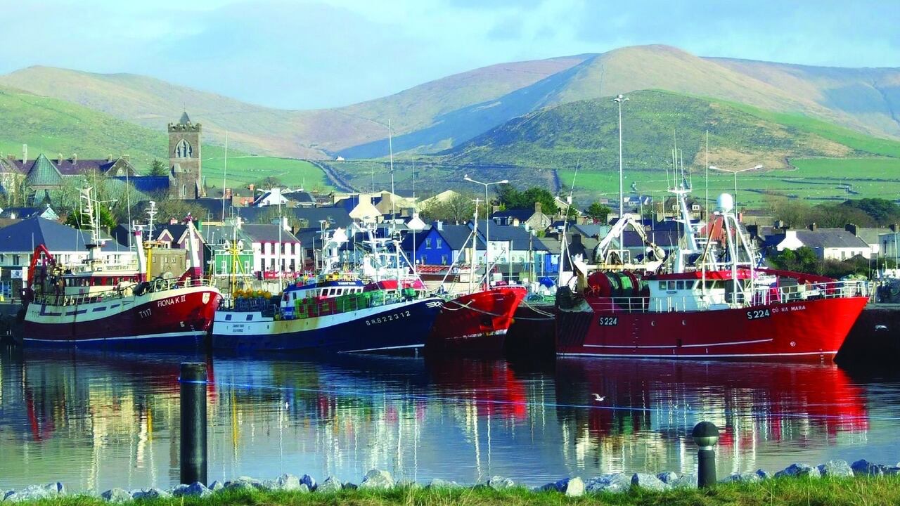 Een pittoresk havengezicht in Ierland met verschillende felgekleurde vissersboten aangemeerd. Daarachter charmeren schilderachtige gebouwen in pasteltinten bezoekers op een onvergetelijke rondreis Ierland, terwijl glooiende groene heuvels en helderblauwe luchten reflecteren op het kalme water. | Echt Ierland Vakanties