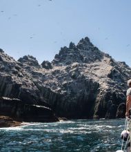 Een man staat op een boot en kijkt uit over een ruig, rotsachtig eiland voor de kust van Ierland. Bedekt met talloze vogels tegen een helderblauwe lucht, draagt de woelige oceaan bij aan dit tafereel van avontuur en verkenning - een perfect momentopname van een rundreise Ierland. | Echt Ierland Vakanties