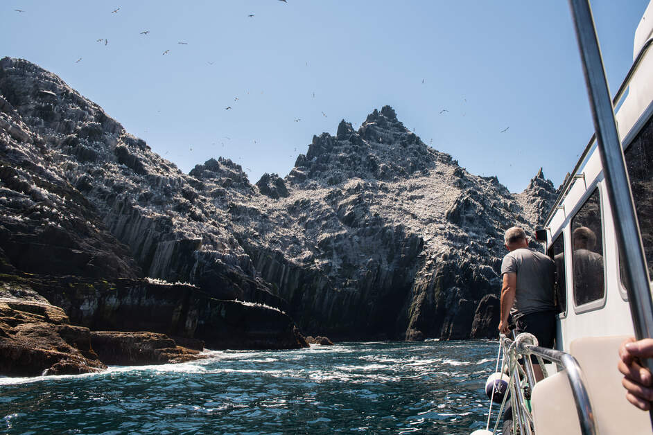 Een man staat op een boot en kijkt uit over een ruig, rotsachtig eiland voor de kust van Ierland. Bedekt met talloze vogels tegen een helderblauwe lucht, draagt de woelige oceaan bij aan dit tafereel van avontuur en verkenning - een perfect momentopname van een rundreise Ierland. | Echt Ierland Vakanties