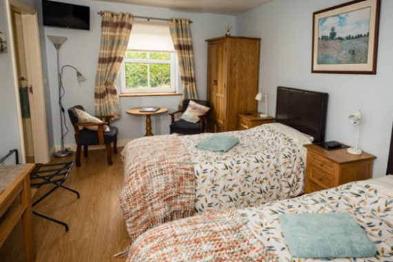 Een gezellige slaapkamer die doet denken aan charmante vakanties in Ierland, met twee eenpersoonsbedden met bloemenbeddengoed en geruite dekens. Een houten kledingkast staat naast de bedden en een kleine ronde tafel met twee stoelen bij het raam biedt uitzicht op geruite gordijnen. Geniet van een aan de muur gemonteerde tv, landschapsschilderij, lamp en bureau in de hoek. | Echt Ierland Vakanties