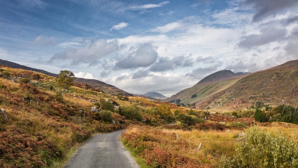 Een smalle, kronkelende weg leidt door een weelderig, glooiend landschap dat typerend is voor vakanties in Ierland. De voorgrond is gevuld met groene en bruine vegetatie, die in de verte overgaat in heuvels. De gedeeltelijk bewolkte lucht werpt zachte schaduwen over het tafereel, waardoor een sereen, pittoresk uitzicht ontstaat. | Echt Ierland Vakanties