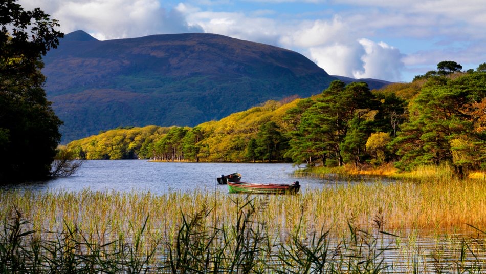 Een schilderachtig meer in Ierland wordt omringd door weelderige, groene bomen onder een bewolkte lucht. Op de voorgrond bedekken hoge rietstengels het water gedeeltelijk. Een enkele kleine boot met kleurrijke versieringen drijft in het midden. In de verte rijst een bergketen op, badend in zacht zonlicht - perfect voor een rondreis Ierland. | Echt Ierland Vakanties