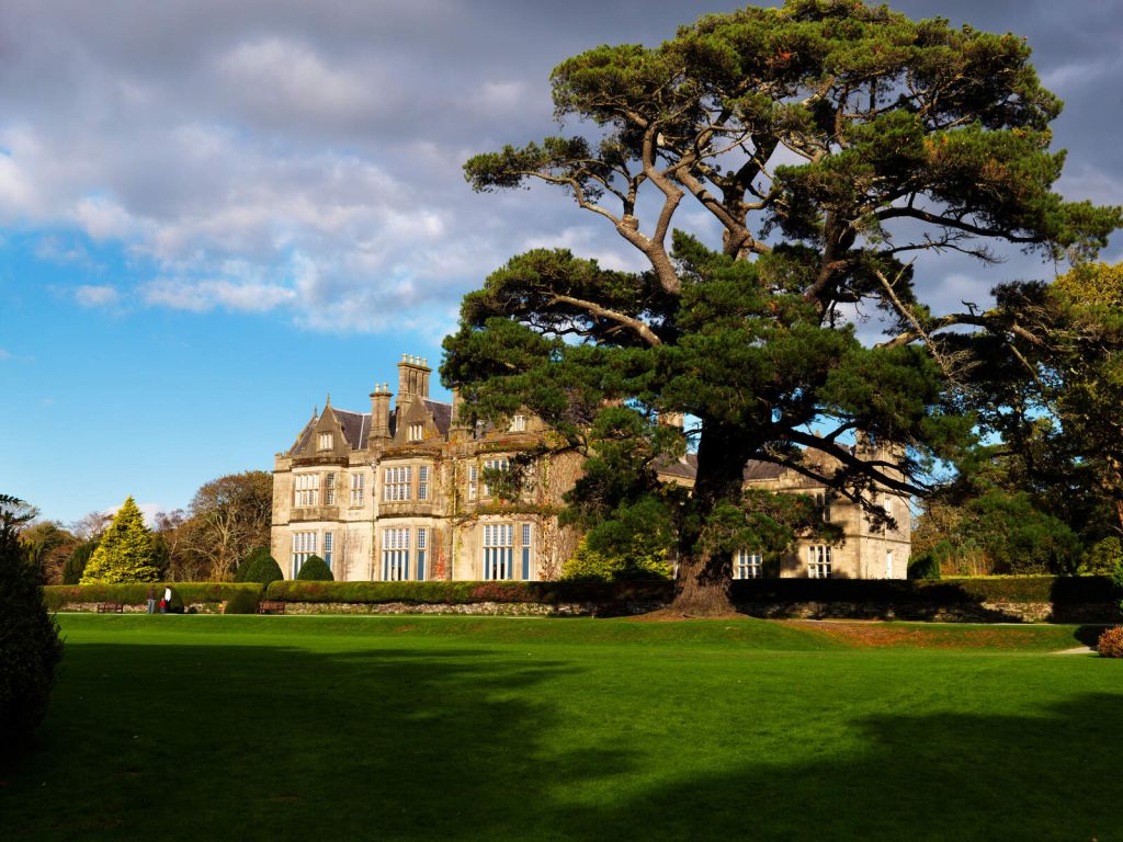 Een historisch stenen landhuis met meerdere schoorstenen wordt gedeeltelijk verduisterd door een kronkelende boom op een zonnige dag, wat de charme van een Ierse vakantie belichaamt. Het landgoed, perfect voor een rundreise Ierland, ligt op uitgestrekte gazons onder een hemel vol wolken en schaars gebladerte. | Echt Ierland Vakanties