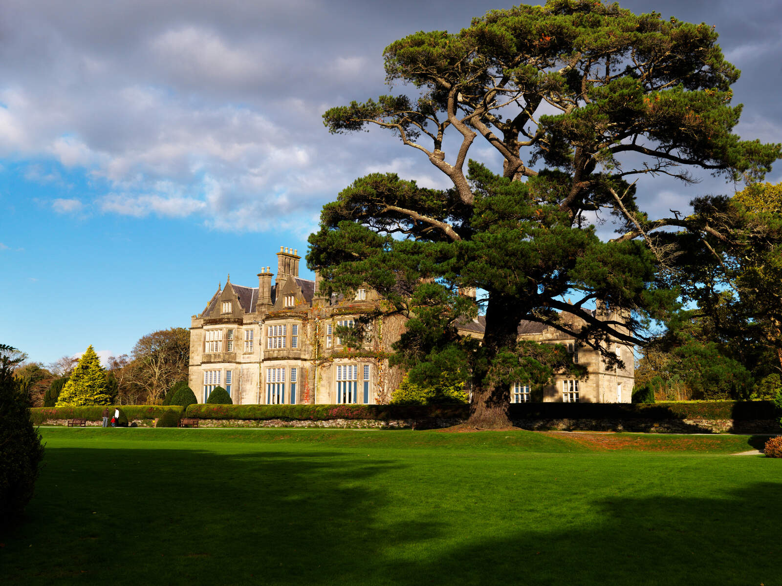 Een historisch stenen landhuis met meerdere schoorstenen wordt gedeeltelijk verduisterd door een kronkelende boom op een zonnige dag, wat de charme van een Ierse vakantie belichaamt. Het landgoed, perfect voor een rundreise Ierland, ligt op uitgestrekte gazons onder een hemel vol wolken en schaars gebladerte. | Echt Ierland Vakanties