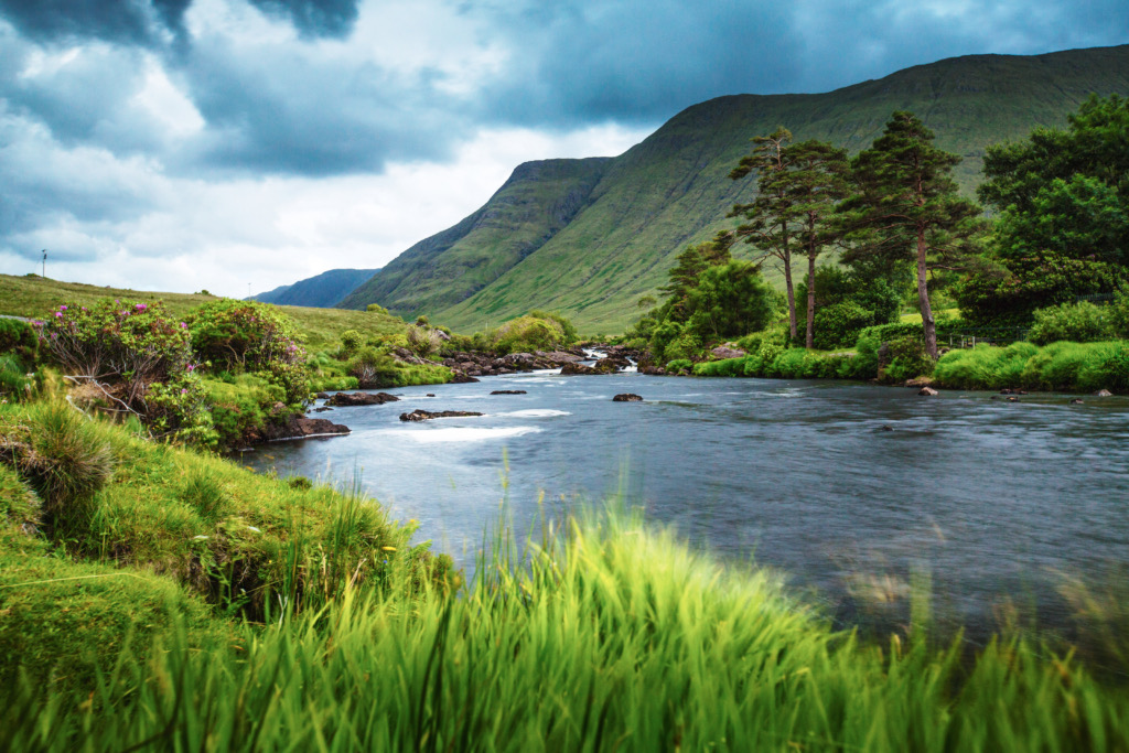 Een schilderachtig landschap van een vakantie in Ierland toont een stromende rivier omgeven door weelderig groen gras en bomen. Op de achtergrond rijst een grote, groene bergachtige heuvel op onder een bewolkte lucht. Het levendige, door de wind geveegde gras op de voorgrond versterkt de beweging en rust. | Echt Ierland Vakanties