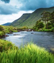 Een sereen landschap dat doet denken aan een rondreis Ierland, met een zacht stromende rivier omgeven door weelderig groen gras en struiken. Hoge bomen staan aan de oever van de rivier, met glooiende heuvels en bergen op de achtergrond. De lucht is bewolkt en werpt een sombere sfeer over dit rustige Ierse tafereel. | Echt Ierland Vakanties