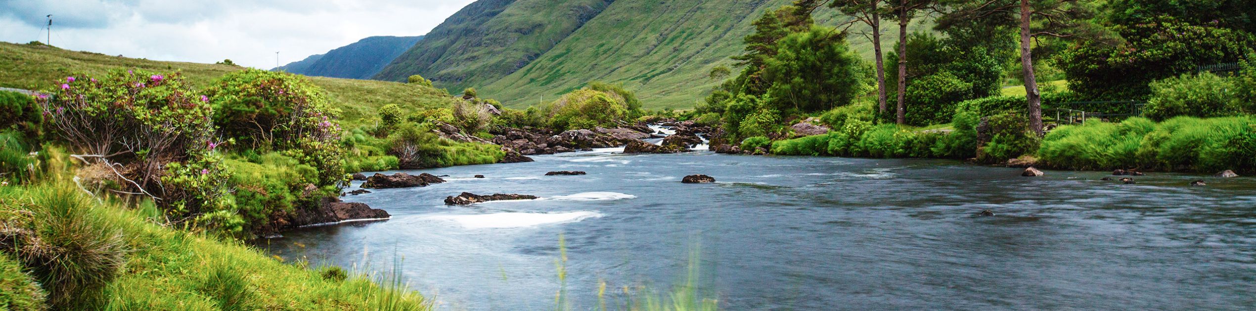Een sereen landschap dat doet denken aan een rondreis Ierland, met een zacht stromende rivier omgeven door weelderig groen gras en struiken. Hoge bomen staan aan de oever van de rivier, met glooiende heuvels en bergen op de achtergrond. De lucht is bewolkt en werpt een sombere sfeer over dit rustige Ierse tafereel. | Echt Ierland Vakanties