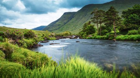 Een sereen landschap dat doet denken aan een rondreis Ierland, met een zacht stromende rivier omgeven door weelderig groen gras en struiken. Hoge bomen staan aan de oever van de rivier, met glooiende heuvels en bergen op de achtergrond. De lucht is bewolkt en werpt een sombere sfeer over dit rustige Ierse tafereel. | Echt Ierland Vakanties