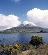 Een berg met een met sneeuw bedekte top onder een gedeeltelijk bewolkte lucht rijst majestueus op, wat doet denken aan de landschappen die je ziet op vakanties in Ierland. Op de voorgrond is een kalm meer omzoomd door struiken met gele bloemen, omlijst door ruig terrein voor een serene en natuurlijke setting. | Echt Ierland Vakanties