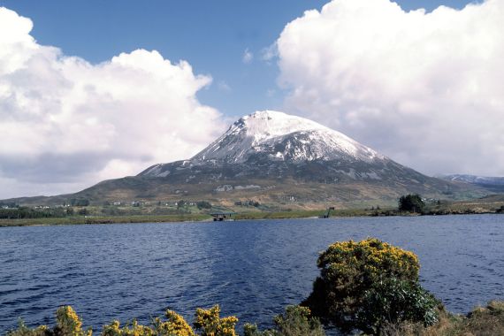 Een berg met een met sneeuw bedekte top onder een gedeeltelijk bewolkte lucht rijst majestueus op, wat doet denken aan de landschappen die je ziet op vakanties in Ierland. Op de voorgrond is een kalm meer omzoomd door struiken met gele bloemen, omlijst door ruig terrein voor een serene en natuurlijke setting. | Echt Ierland Vakanties