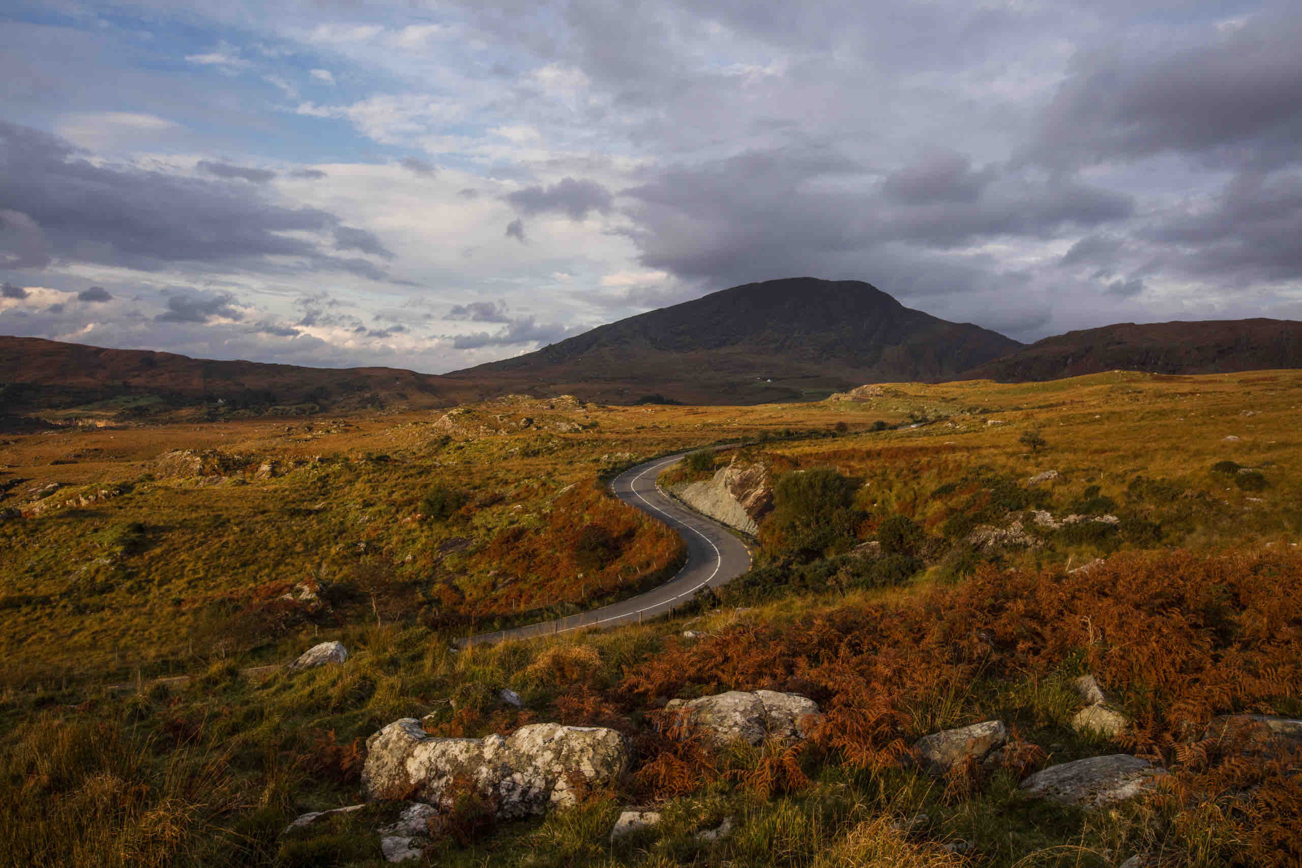 Een kronkelende weg slingert door een rotsachtig, grasachtig landschap onder een bewolkte lucht in het hart van Ierland. Op de voorgrond zijn verspreide rotsen en stukken roodbruin gebladerte te zien. Een grote berg rijst op de achtergrond op, overschaduwd door wolken, terwijl het licht doorbreekt om dit rondreis Ierland-tafereel te verlichten. | Echt Ierland Vakanties