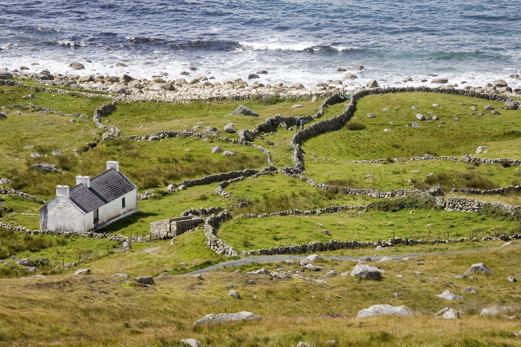 Een klein wit huisje met een donker dak staat in een weelderig groen veld aan de oceaan, perfect voor vakantie Ierland. Stenen muren verdelen het land in secties en rotsen liggen overal verspreid. De rotsachtige kustlijn ontmoet zachte golven onder een helderblauwe lucht, wat de essentie van rondreis Ierland vastlegt. | Echt Ierland Vakanties