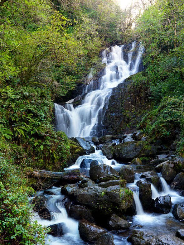 Een pittoreske waterval stort zich over met mos bedekte rotsen in een weelderig, groen bos, wat doet denken aan een betoverende stop op een rondreis Ierland. Het water stroomt in meerdere stromen, wat een serene scène creëert terwijl zonlicht door het dichte bladerdak piept en delen van de waterval en het omringende gebladerte verlicht. | Echt Ierland Vakanties
