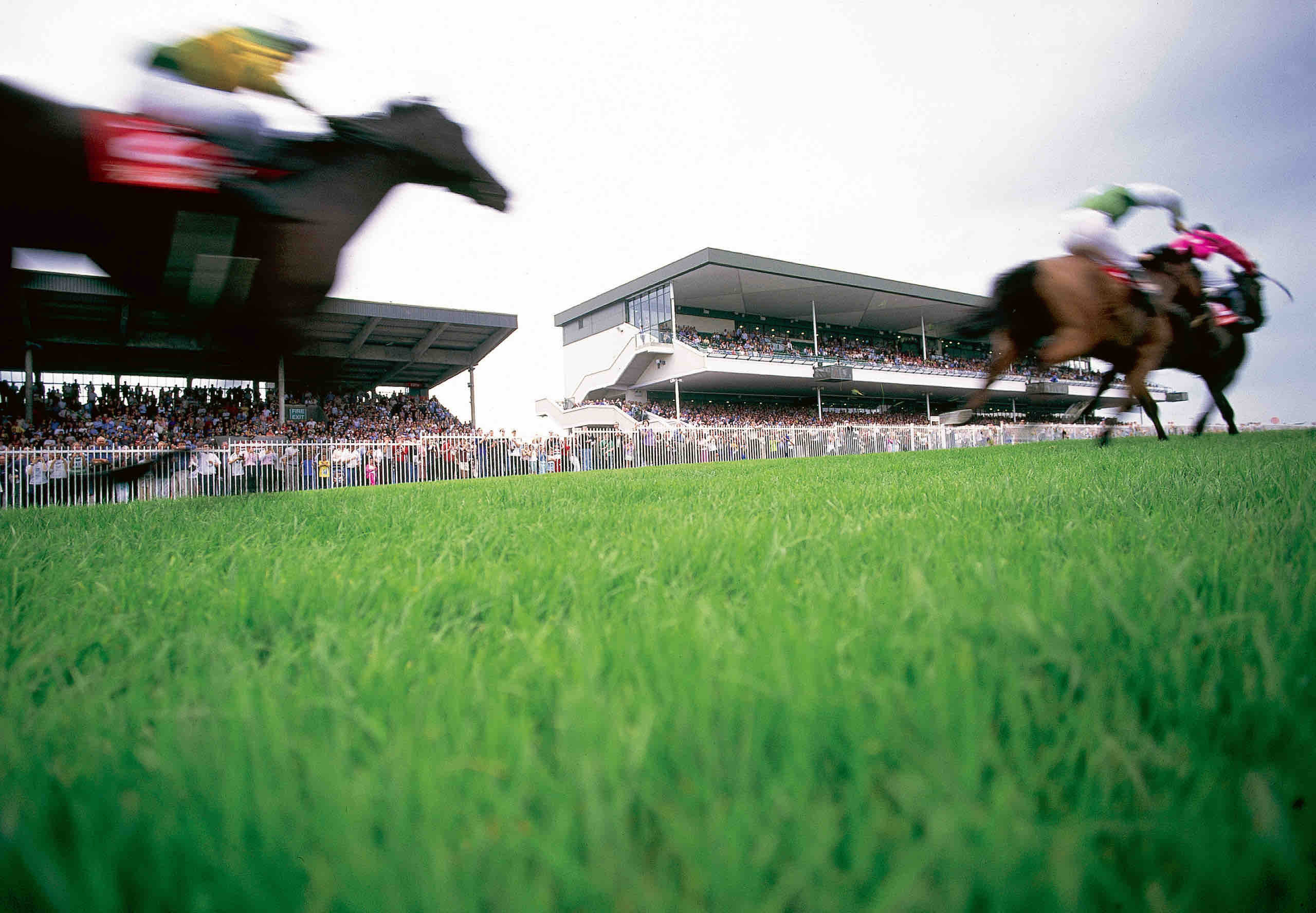 Onscherp beeld van jockeys die paarden racen op een pittoreske grasbaan in Ierland, met een grote menigte zittend op moderne tribunes aan de linkerkant. De dynamische scène legt de sensatie vast van een rondreis Ierland onder een bewolkte lucht, perfect voor degenen die een vakantie in Ierland overwegen. | Echt Ierland Vakanties