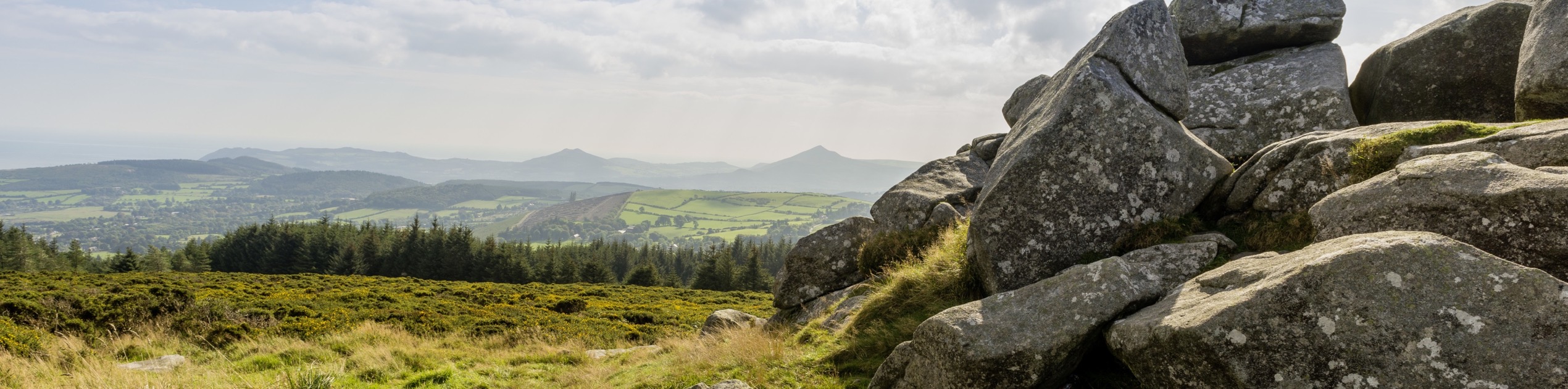 Een schilderachtig landschap in Ierland met grote, ruige rotsen aan de rechterkant, afstekend tegen een uitgestrekte vlakte van groene velden. Een rij bomen staat op de middengrond, met verre heuvels onder een gedeeltelijk bewolkte blauwe lucht. Perfect voor degenen die op zoek zijn naar rust tijdens hun vakantie in Ierland. | Echt Ierland Vakanties