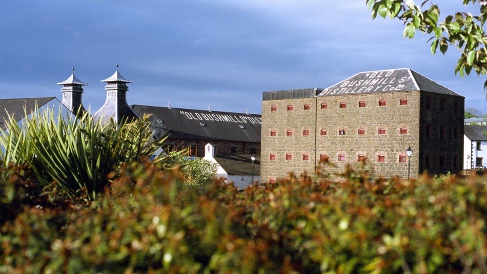 Ontdek de charme van historische distilleerderijgebouwen met hun verweerde stenen gevel en unieke piramidevormige daken. Genesteld in weelderig groen onder een bewolkte blauwe lucht, verwelkomt "Old Bushmills Distillery" u voor een onvergetelijke vakantie in Ierland. | Echt Ierland Vakanties