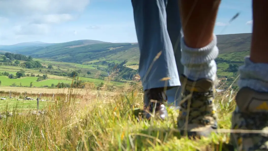 Close-up van twee mensen die wandelen in een grasachtig landschap met glooiende heuvels, perfect voor een onvergetelijke vakantie in Ierland. De een draagt wandelschoenen en lichte sokken, de ander donkere schoenen en een lichte broek. Het tafereel is helder en schilderachtig, met een weelderige vallei onder een helderblauwe lucht. | Echt Ierland Vakanties