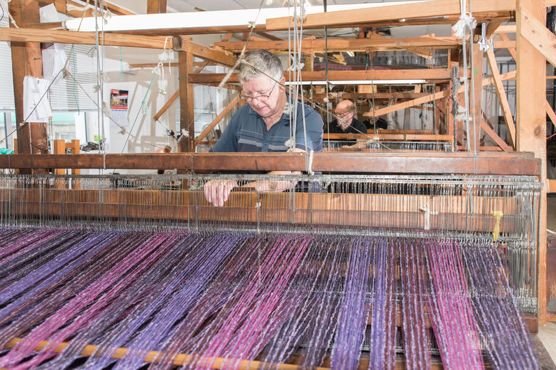 Een oudere man bedient een groot houten weefgetouw en weeft paarse en magenta draden. Hij concentreert zich aandachtig op het ingewikkelde patroon, dat doet denken aan die je tegenkomt op een rondreis Ierland. Op de achtergrond werkt iemand anders aan een soortgelijk weefgetouw in deze zonnige werkplaats. | Echt Ierland Vakanties