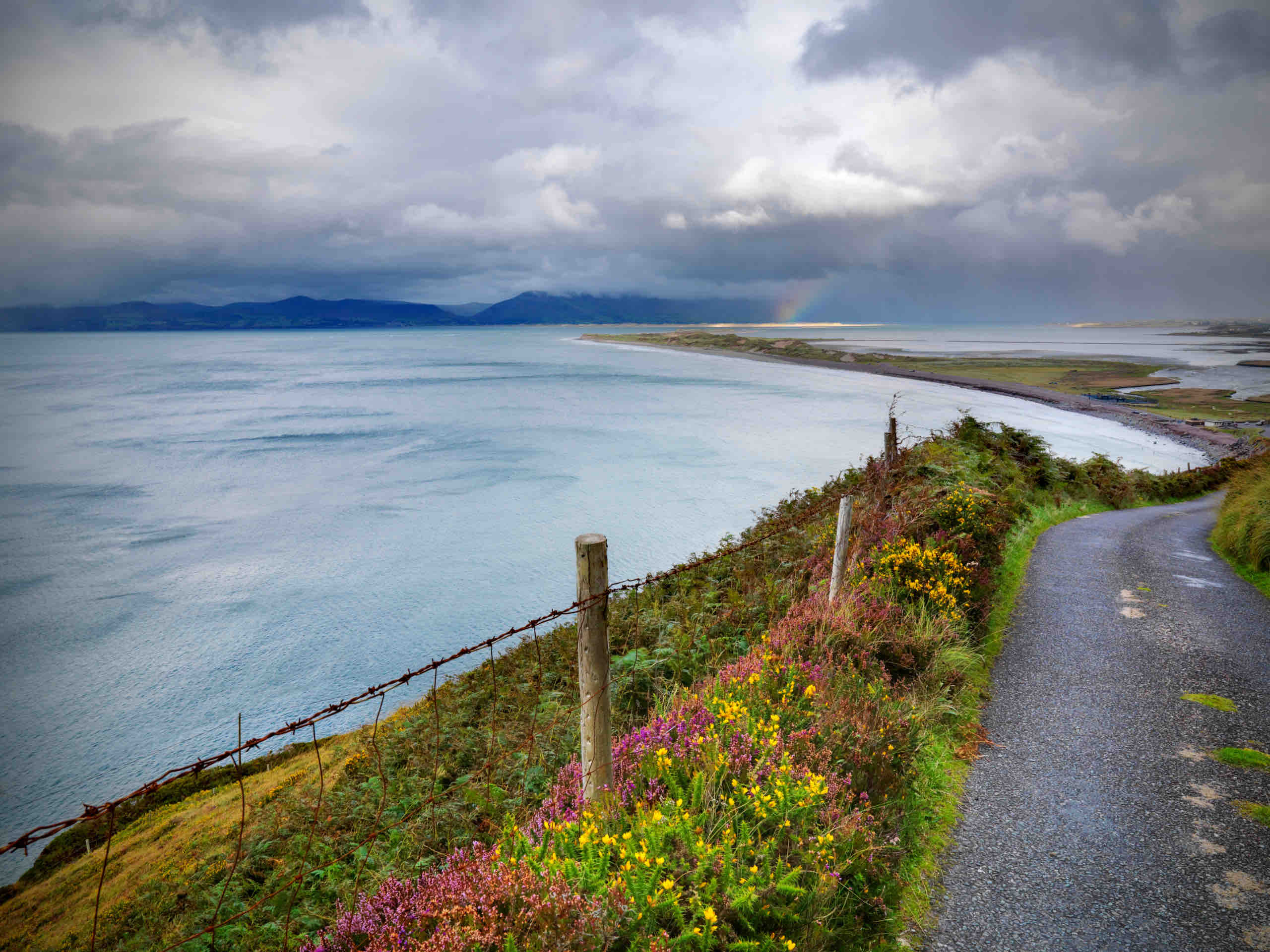 Ontdek een kustlandschap tijdens uw rondreis Ierland met een smal kronkelend pad langs een verweerd hek, met uitzicht op uitgestrekte wateren. Op de voorgrond bloeien levendige wilde bloemen. De horizon onthult verre bergen onder een bewolkte lucht, met een vage regenboog die de kustlijn siert. | Echt Ierland Vakanties