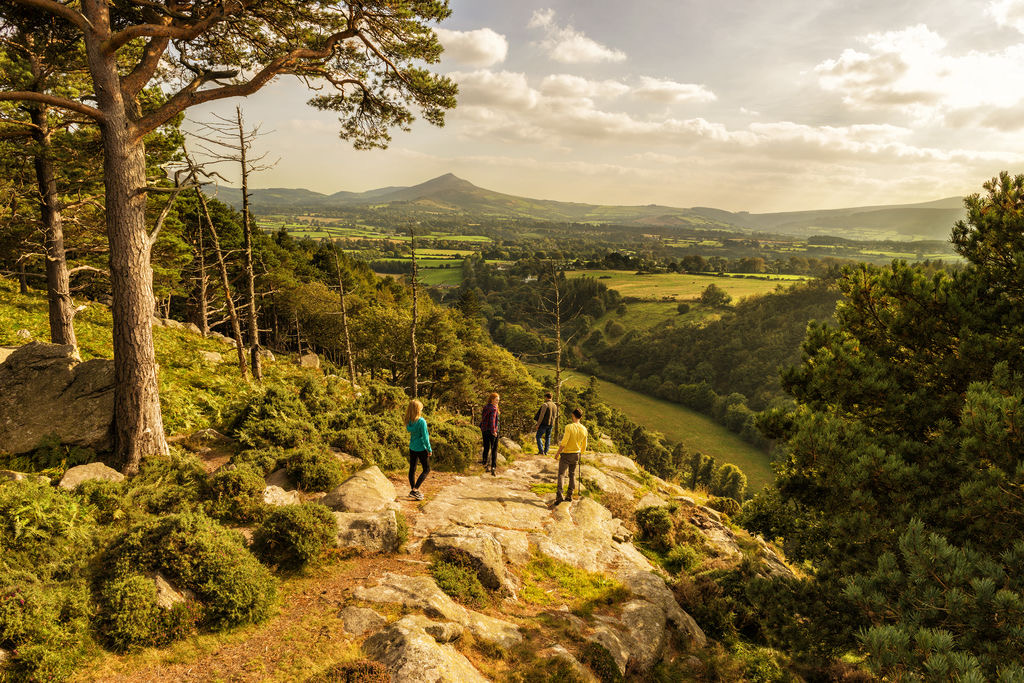 Vier mensen wandelen op een rotsachtig terrein omgeven door bomen en groen op een heldere zonnige dag, wat doet denken aan een avontuurlijke vakantie in Ierland. Een schilderachtig uitzicht op glooiende heuvels en een verre piek onder een lucht met verspreide wolken is zichtbaar, met de verlichting die warme tinten over het landschap werpt. | Echt Ierland Vakanties