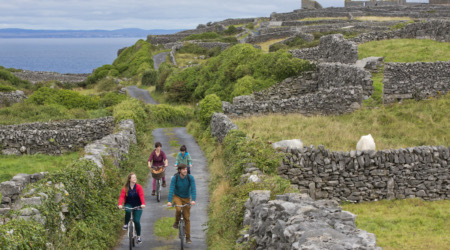 Vier mensen fietsen over een smal pad met stenen muren en weelderig groen, en verkennen de schilderachtige schoonheid van een typisch vakantie Ierland. Het pad slingert door landelijke landschappen, langs ruïnes, met verre uitzichten op de oceaan. Een geit staat rechts terwijl wolken zich in de lucht verzamelen. | Echt Ierland Vakanties