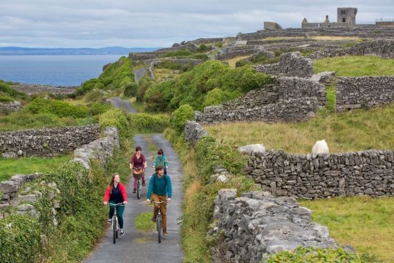 Vier mensen fietsen over een smal pad geflankeerd door stenen muren en weelderig groen op Inis Oírr, genietend van hun rundreise Irland. Ze vangen een glimp op van de oceaan en het vasteland, terwijl een geit op een muur in de buurt zit, naast een eeuwenoud stenen bouwwerk onder een bewolkte lucht. | Echt Ierland Vakanties