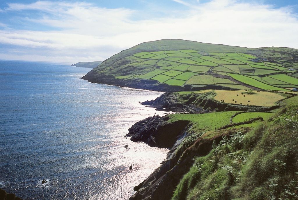 Ervaar het adembenemende kustlandschap van Ierland op uw rundreise Irland. Glooiende groene heuvels en lappendekenvelden ontmoeten de rotsachtige kust, waar ruige kliffen afdalen naar een sprankelende oceaan onder een helderblauwe lucht, wat een levendig contrast creëert dat perfect is voor elk reizen Irland-avontuur. | Echt Ierland Vakanties