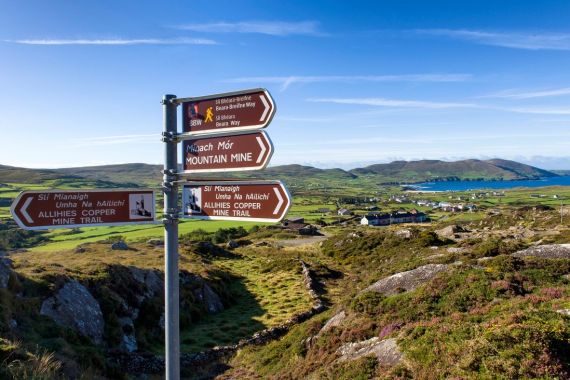Wegwijzers op een kruispunt in een landelijk Iers landschap wijzen naar Skibbereen, Ballydehob en Bantry. Ontdek de Beara Way en Mizen Way-paden op uw vakantie in Ierland. Glooiende heuvels en verspreide huizen omlijsten een verafgelegen waterlichaam onder een blauwe lucht. | Echt Ierland Vakanties