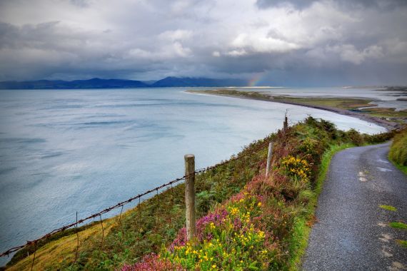 Een smal, kronkelend kustpad in Ierland leidt langs een weelderig, heuvelachtig landschap met kleurrijke wilde bloemen en struiken. De oceaan strekt zich uit tot aan de horizon onder een bewolkte lucht, terwijl bergen zichtbaar zijn aan de overkant van het water. Een vage regenboog verschijnt in de verte terwijl u geniet van uw urlaub in dit schilderachtige paradijs. | Echt Ierland Vakanties