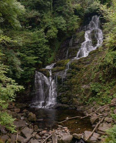 Een schilderachtige waterval stort zich over een rotsachtige klif in Ierland, omgeven door weelderig groen gebladerte. Het water stroomt over meerdere niveaus naar beneden, wat een serene scène creëert die perfect is voor elke rondreis door Ierland. Dichte bostinten van groen en verspreide rotsen dragen bij aan de charme aan de voet van dit natuurwonder. | Echt Ierland Vakanties