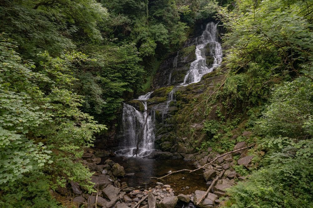 Een schilderachtige waterval stort zich over een rotsachtige klif in Ierland, omgeven door weelderig groen gebladerte. Het water stroomt over meerdere niveaus naar beneden, wat een serene scène creëert die perfect is voor elke rondreis door Ierland. Dichte bostinten van groen en verspreide rotsen dragen bij aan de charme aan de voet van dit natuurwonder. | Echt Ierland Vakanties