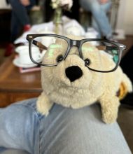 Een pluchen speeltje dat lijkt op een lichtbruine hond zit op iemands in denim geklede knie, met een bril met een zwart montuur. Op de achtergrond, als gekoesterde souvenirs van een urlaub Ierland, ontspannen wazige figuren op banken bij een houten salontafel die bezaaid is met spullen. | Echt Ierland Vakanties