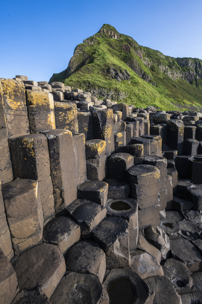 De afbeelding toont de Giant's Causeway in Noord-Ierland, een must-see op elke rondreis Ierland. Grote, in elkaar grijpende hexagonale basaltkolommen domineren de voorgrond, terwijl een groene, rotsachtige heuvel oprijst tegen een helderblauwe lucht op de achtergrond. Gele korstmos stipt sommige van de kolommen. | Echt Ierland Vakanties