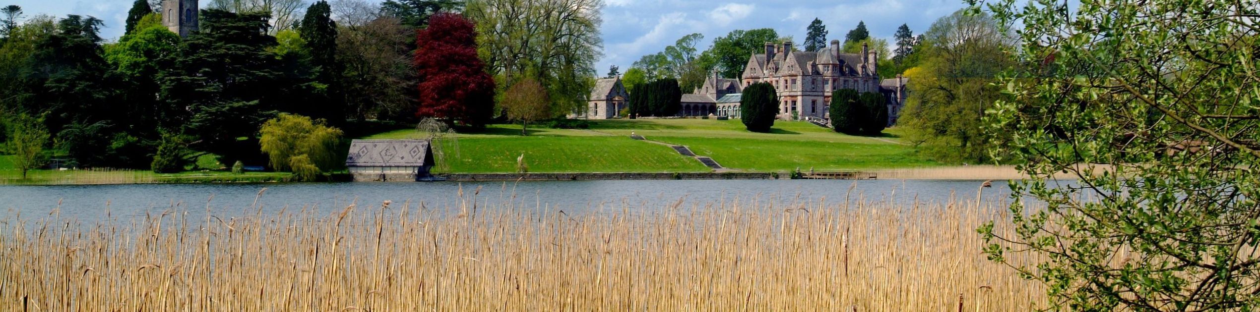 Een schilderachtig uitzicht op een historisch kasteel in Ierland, omgeven door weelderig groen en gezien over een meer begrensd door hoog riet. Verschillende bomen, waaronder een opvallende met rode bladeren, omlijsten de structuur. De overwegend heldere lucht met verspreide wolken maakt deze serene rondreis Ierland-ervaring compleet. | Echt Ierland Vakanties