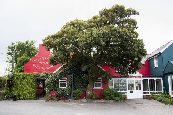 Een levendig rood gebouw in Baltimore, gedeeltelijk bedekt door een weelderige groene boom, toont een bord voor Hotel Casey's & Seafood Restaurant. Klimop siert één kant, terwijl een witte ingang met glazen deuren wordt omringd door struiken. Een zwart bord luidt Open onder de bewolkte hemel. | Echt Ierland Vakanties