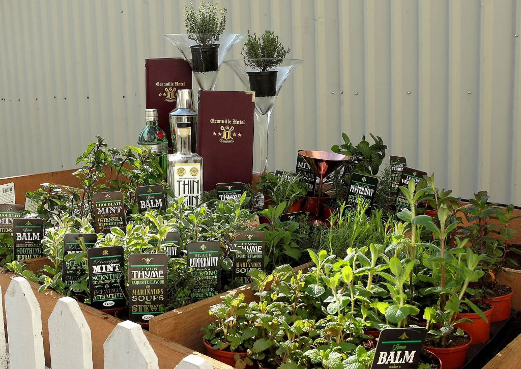 Verschillende kruidenplanten in potten staan op een tafel achter een wit hek in het hotel. Etiketten voor munt, tijm en citroenmelisse zijn zichtbaar. Flessen en rode menu's staan naast hoge doorzichtige containers met kruiden, allemaal tegen een gegolfde metalen wand. | Echt Ierland Vakanties